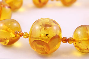 20 - 35mm Round Baltic Amber Bead Necklace with Certificate
