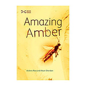 Book about amber