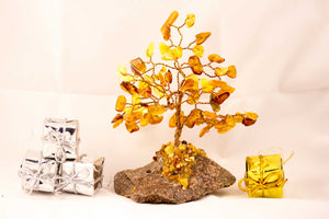Amber Gift Ideas
