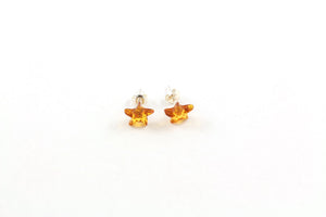 Cognac Baltic Amber and Sterling Silver Starfish Stud Earrings