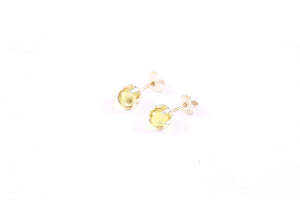 Cognac Baltic Amber Stud Earrings