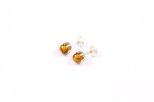 Cognac Baltic Amber Stud Earrings