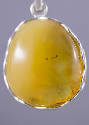 Milky Yellow to Honey Baltic Amber & Sterling Silver Pendant