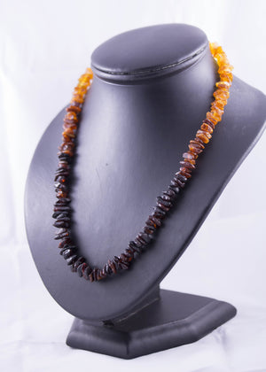 Rainbow Baltic Amber Casual Necklace